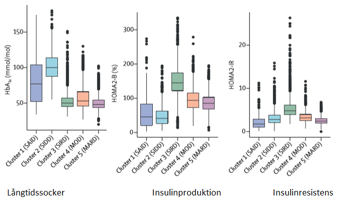 insulinresistenssssssss